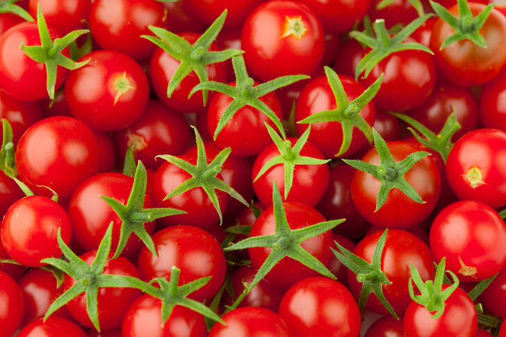 Tomates cherry