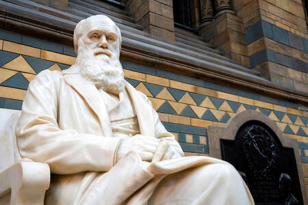 Statue of Charles Darwin in Shrewsbury