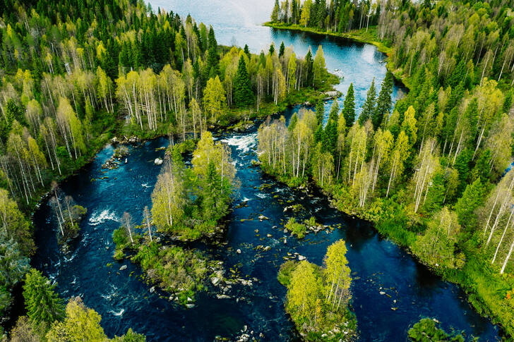 Pogled iz vazduha na šumu i reku
