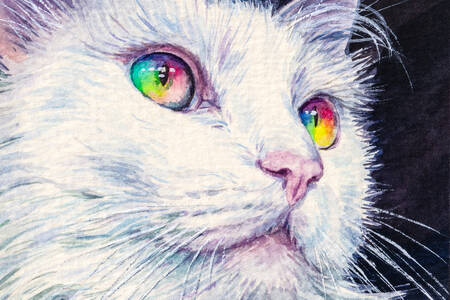 Cat with rainbow eyes