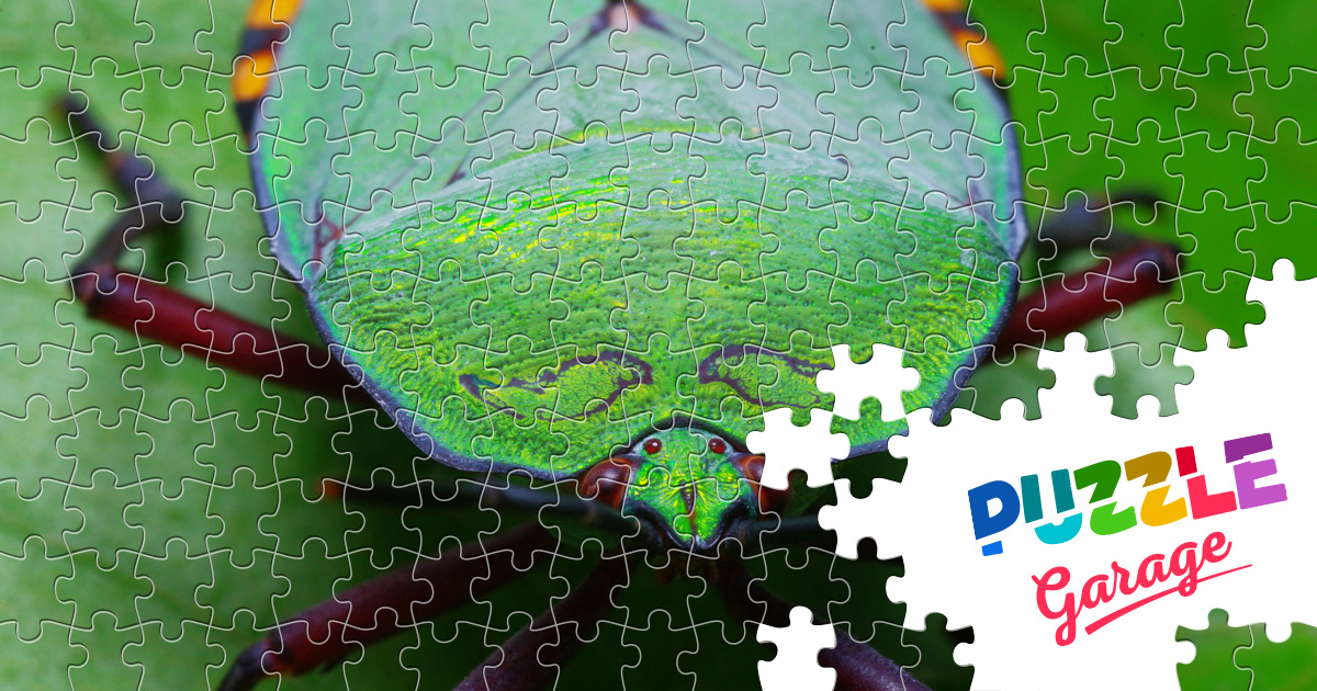 Green bug Jigsaw Puzzle (Animals, Insects) | Puzzle Garage