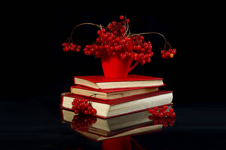 Bouquet de sorbier sur une pile de livres