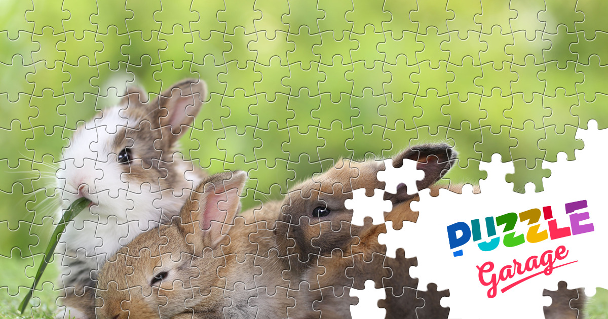 Rabbits on the grass Jigsaw Puzzle (Animals, Pets) | Puzzle Garage