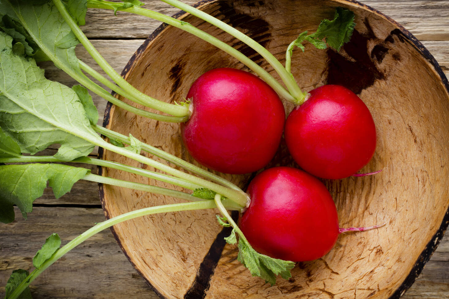 Radish Jigsaw Puzzle (Plants, Vegetables) Puzzle Garage