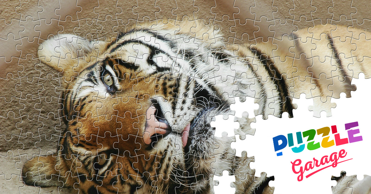 Bengal tiger Jigsaw Puzzle (Animals, Mammals) | Puzzle Garage