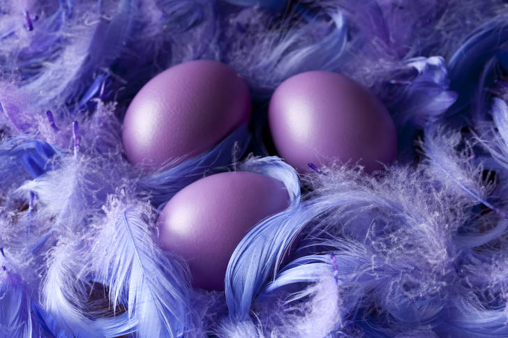 Easter eggs on a background of feathers
