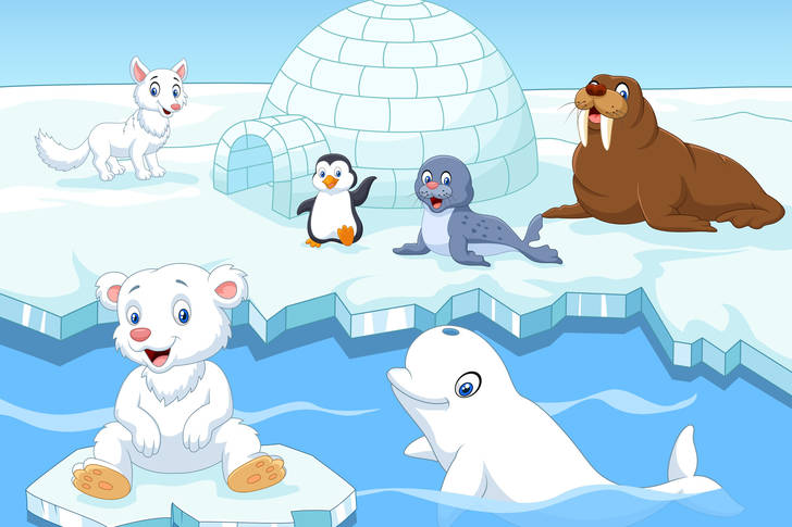 Ζώα του Βόρειου Πόλου Παζλ (Για παιδιά, Κοινουμενα σχεδια 