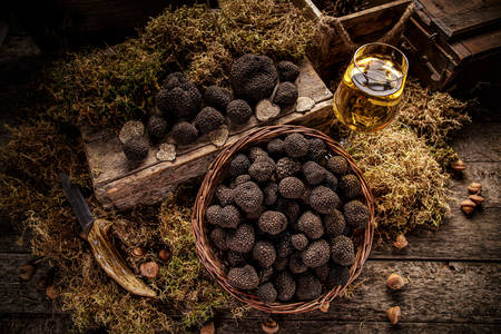 Mushrooms black truffles