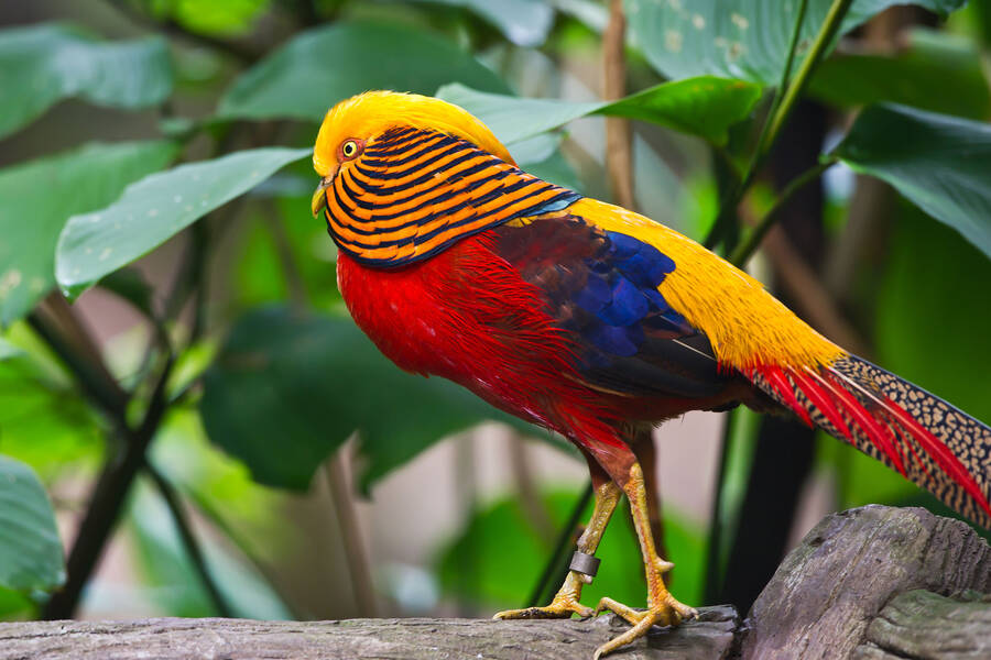 Puzzle Online Spielen Kostenlos Puzzle Garage