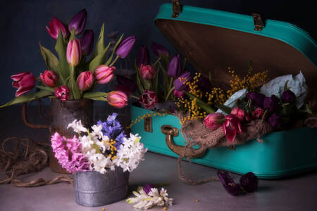 Flowers in a suitcase