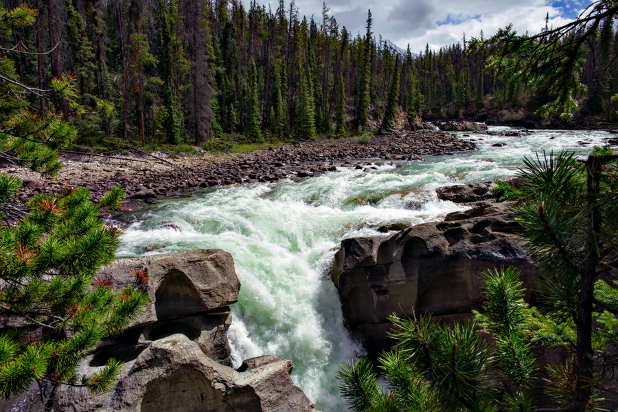 Sunwapta watervallen
