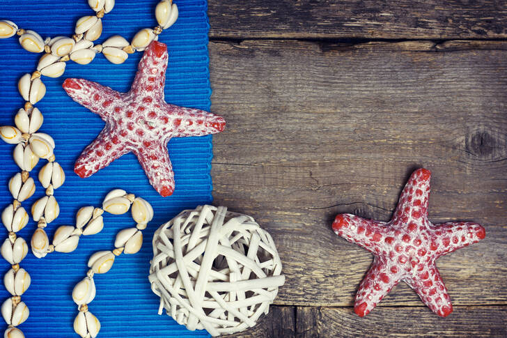 Starfish on wooden background