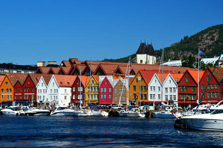 Bergen kikötője