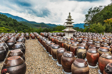 Vasos de monges budistas