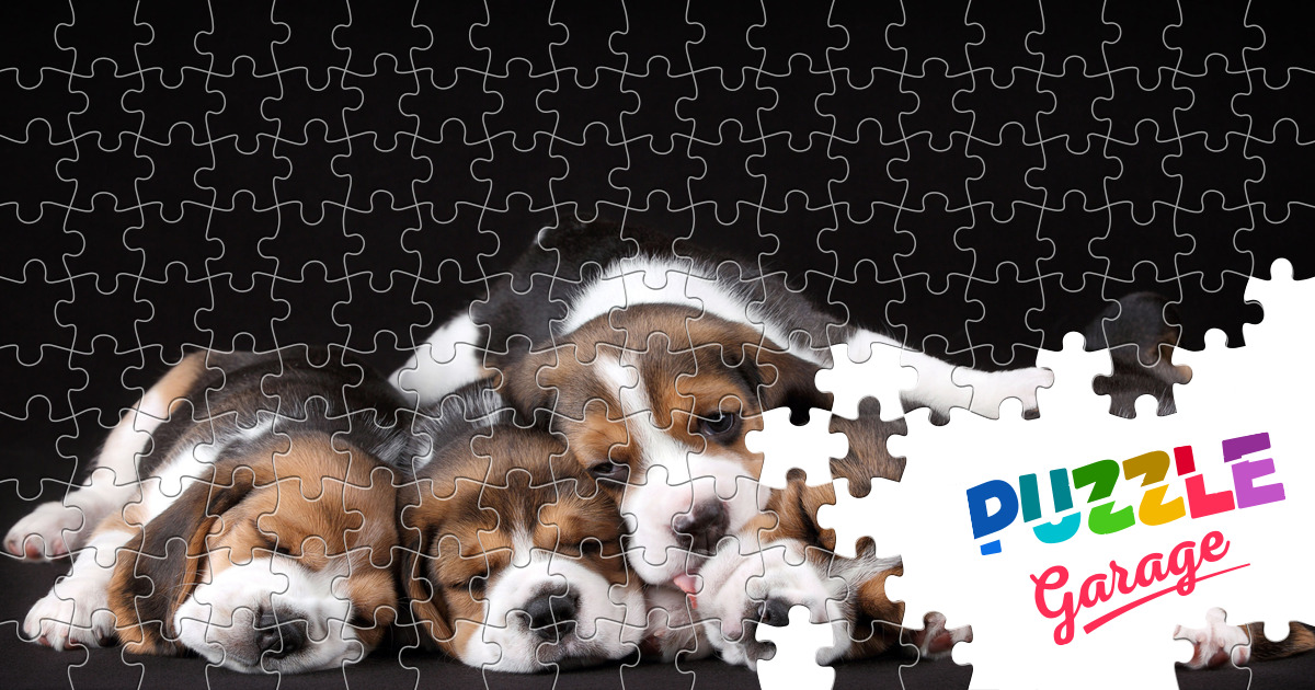 Beagle puppies Jigsaw Puzzle (Animals, Pets) Puzzle Garage