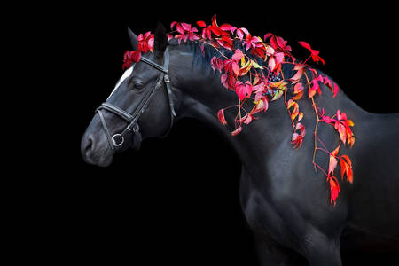 Stallion with red leaves in his mane