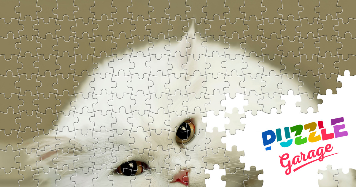 Snow white cat Jigsaw Puzzle (Animals, Pets) | Puzzle Garage