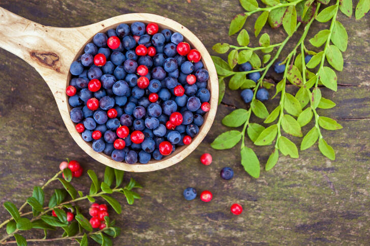 Blueberries and cranberries