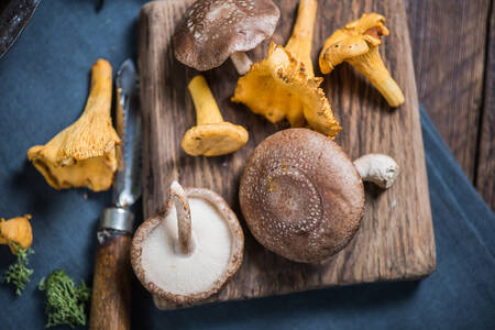 Hongos del bosque en una tabla de cortar