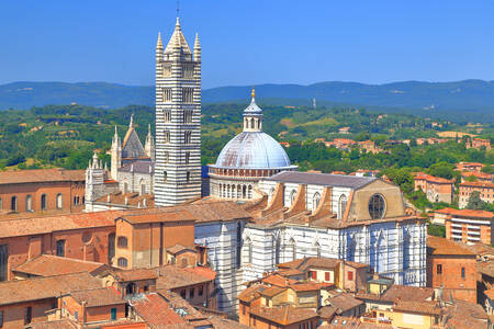 Catedral en Siena