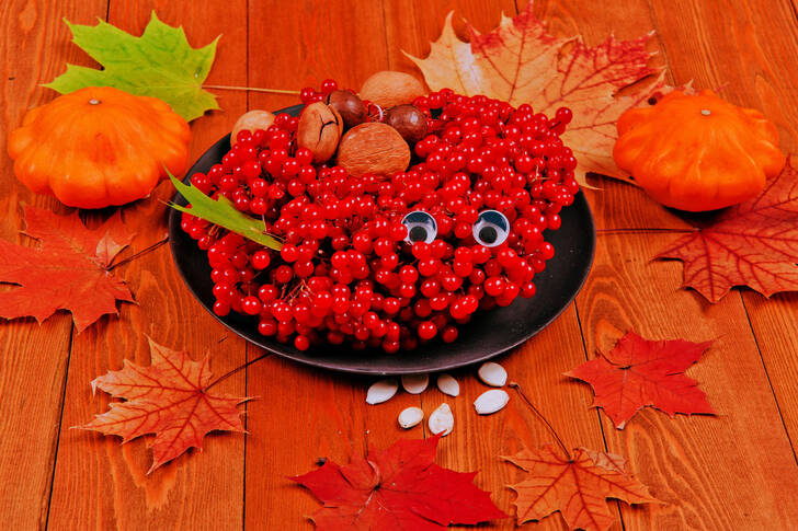 Viburnum berries on a plate