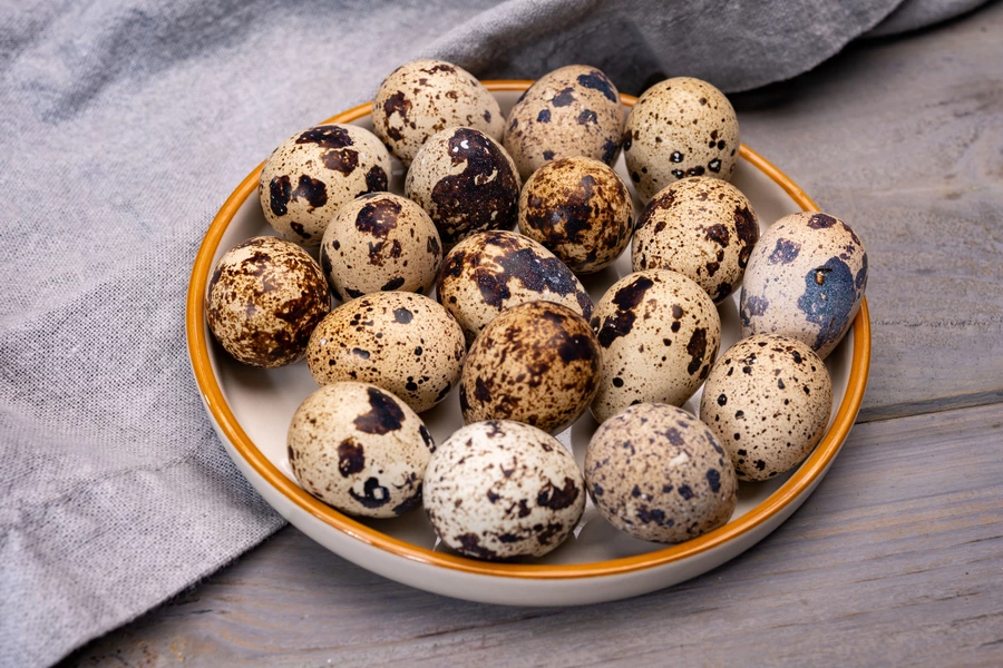 Ovos de codorna