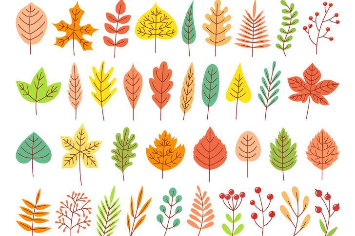 Listy rôznych stromov