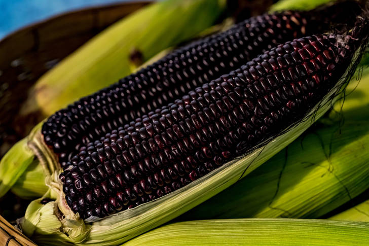 Purple corn