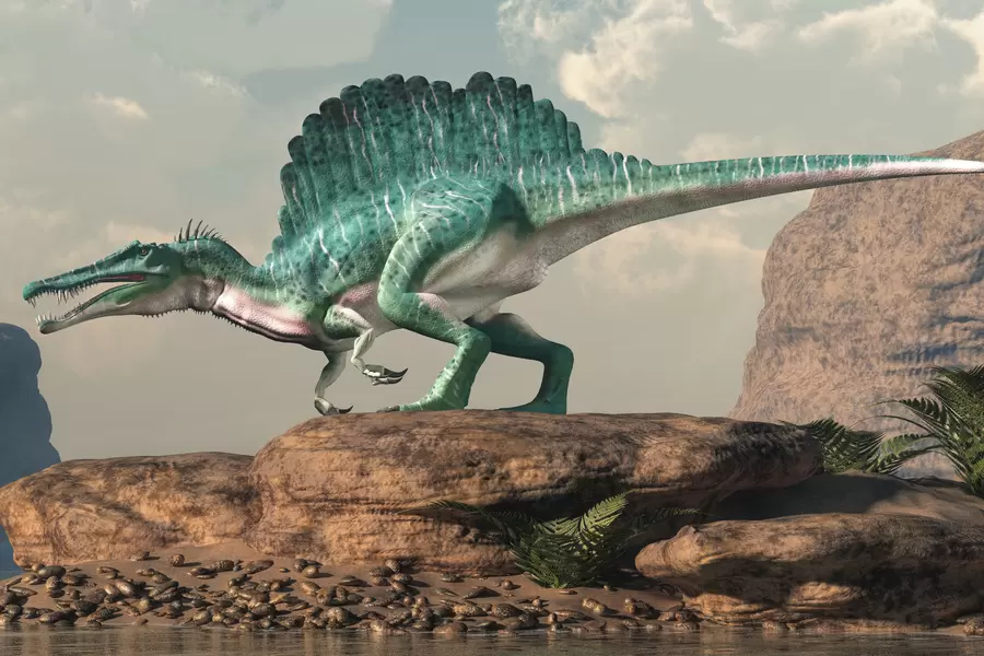 Spinosaurus