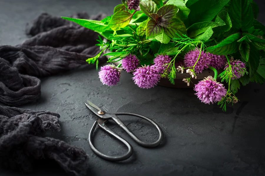 Herbes et fleurs sur une table sombre