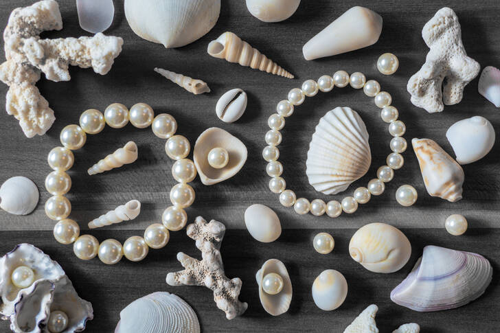 Pearl bracelets and shells