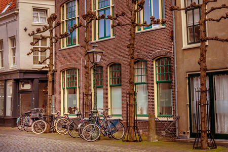 Leiden'de sokakta bisikletler