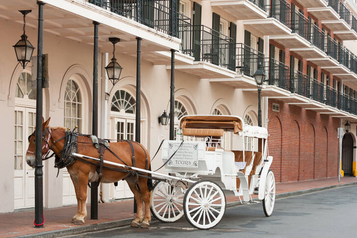 Horse carriage in New Orleans