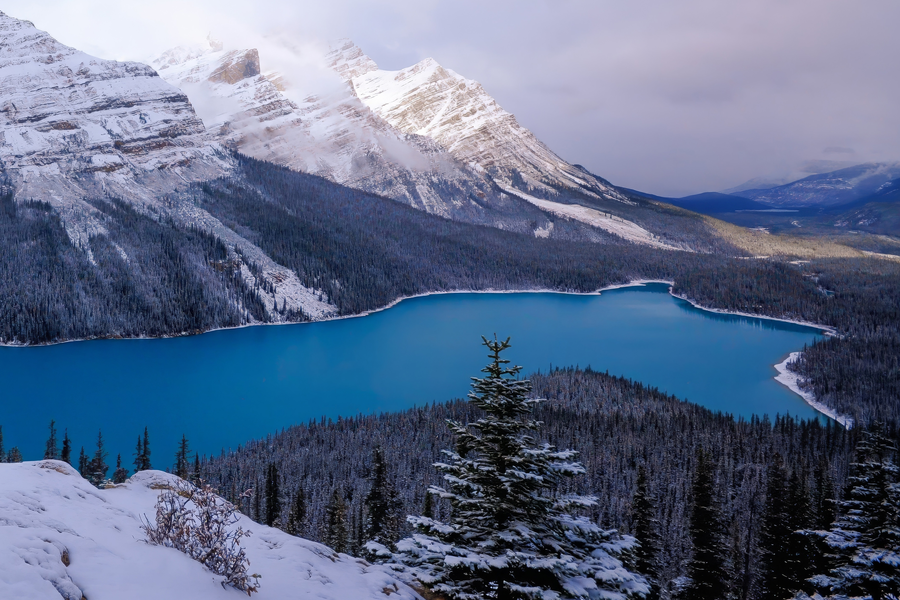 Peyto Lake