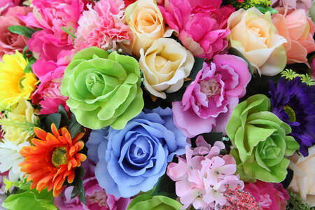 Kleurrijke bloemen