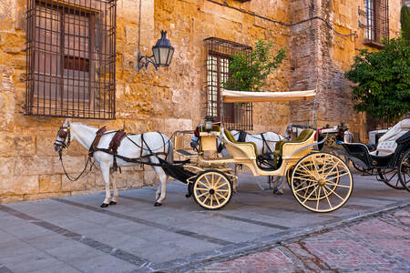 Tradycyjny wózek w Kordobie