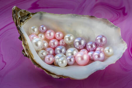 Pearls in the shell
