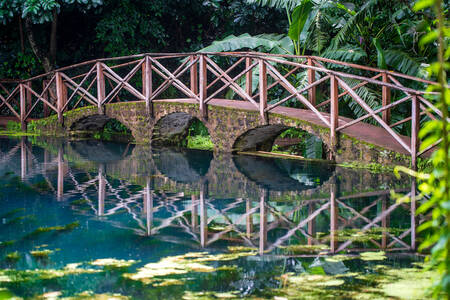 Puente de arco sobre el lago
