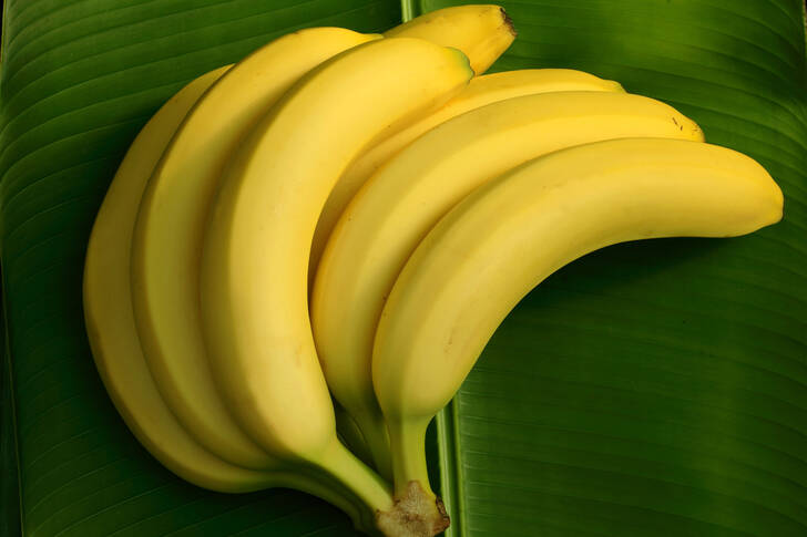 Bananas on a palm leaf