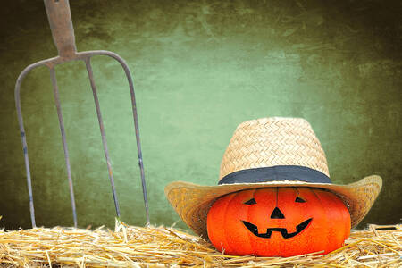 Pumpkin in a Straw Hat