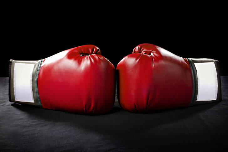 Boxing gloves