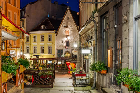 Ruas da velha Tallinn