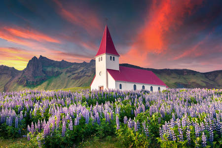 Small church surrounded by flowers