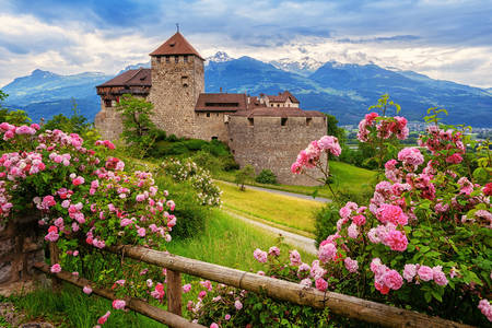 Vaduz kale manzarası