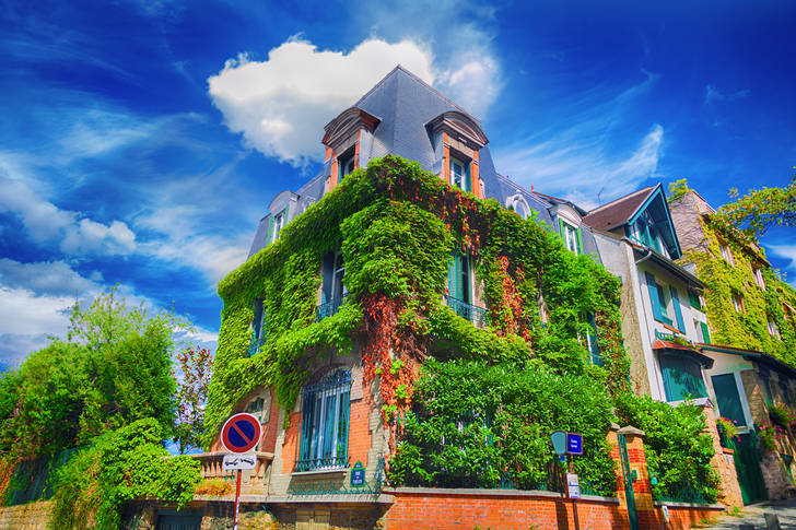 The ivy-covered facade of a Parisian building