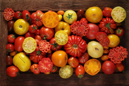 Diferentes variedades de tomates.