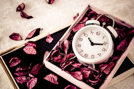 Alarm clock in a box with petals