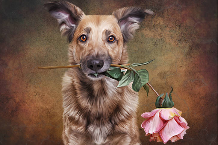 Собака с розой