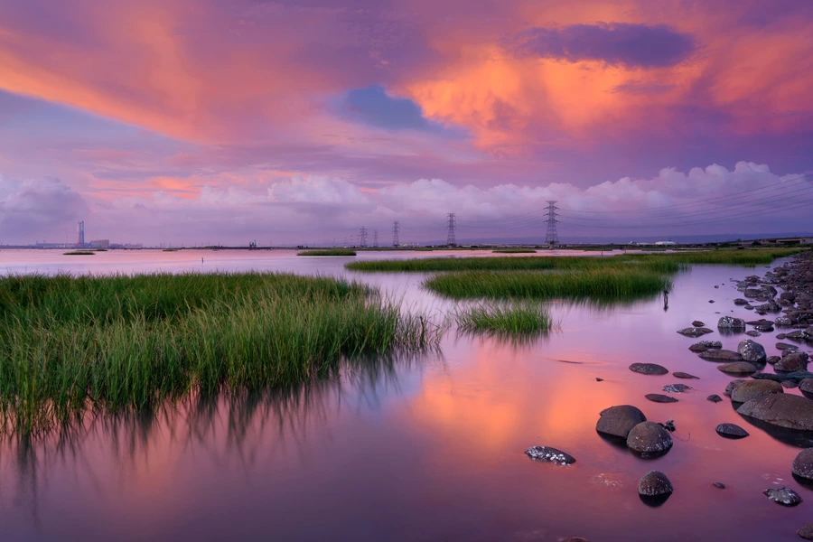 Zhanghua-wetlands