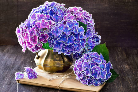 Bouquet of hydrangeas in a vase